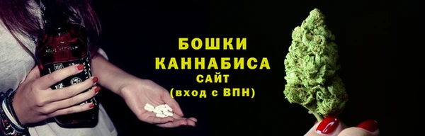 стафф Покачи